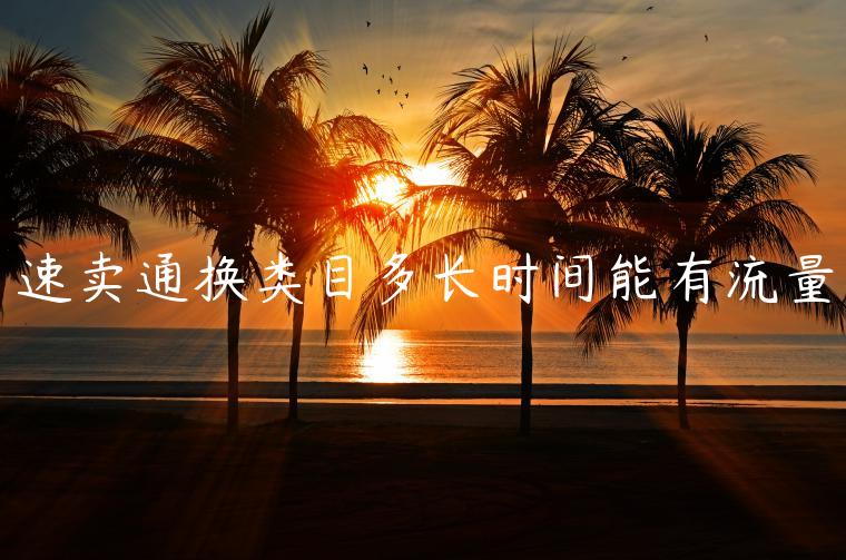 速賣(mài)通換類(lèi)目多長(zhǎng)時(shí)間能有流量